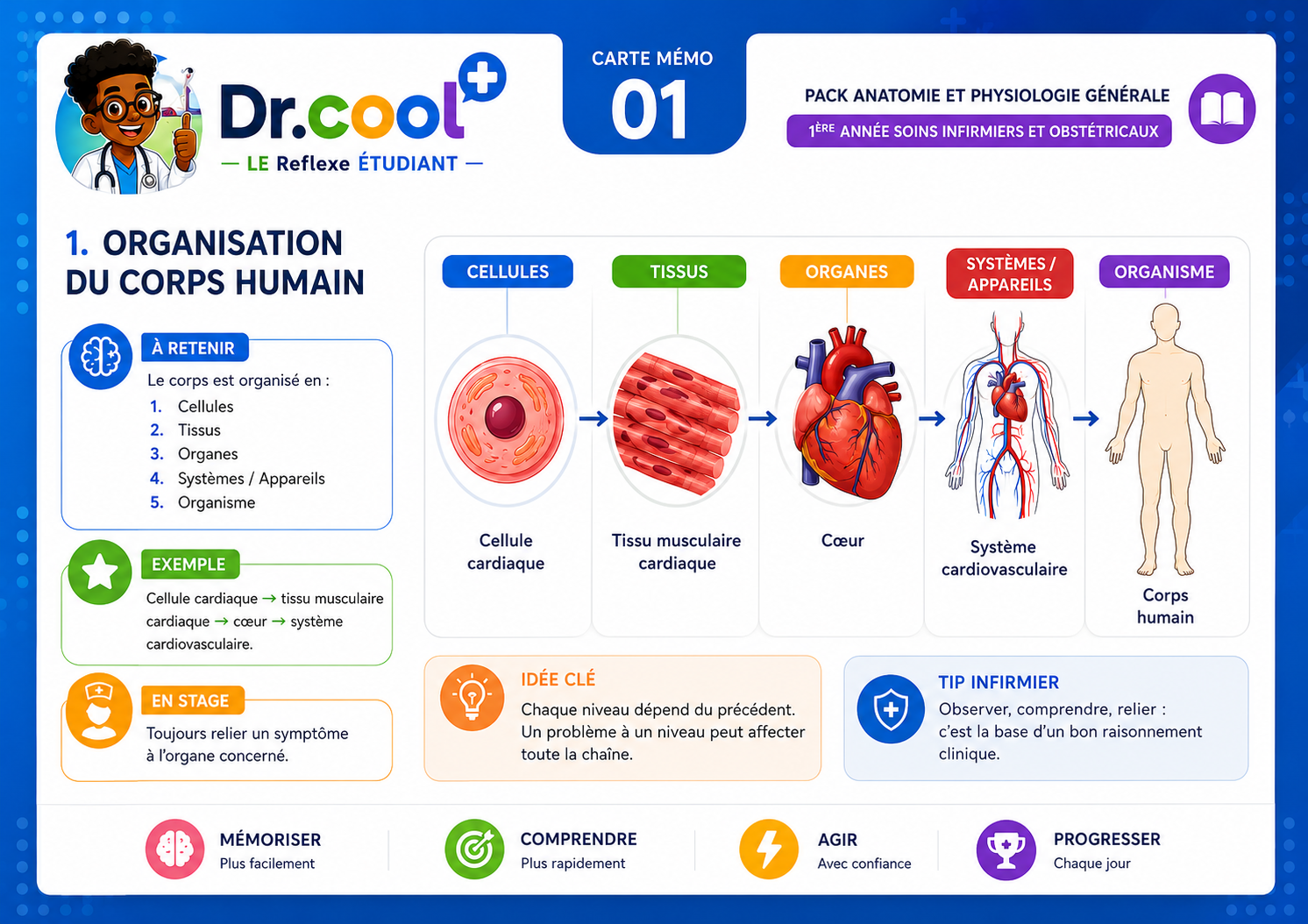 Pack Anatomie et Physiologie Générale